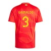 Maillot de Supporter Espagne Alejandro Grimaldo 3 Domicile Euro 2024 Pour Homme